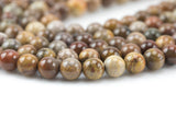 Natural Brown Petrified Wood Round High Quality 6mm 8mm 10mm 12mm Full Strand AA Quality AAA Quality Smooth Gemstone Beads