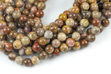 Natural Brown Petrified Wood Round High Quality 6mm 8mm 10mm 12mm Full Strand AA Quality AAA Quality Smooth Gemstone Beads
