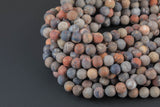 Natural Fossil Coral Matte Beads 6mm 8mm 9mm 10mm 12mm Round Beads 15.5" Strand Gemstone Beads