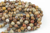 Natural Brown Petrified Wood Round High Quality 6mm 8mm 10mm 12mm Full Strand AA Quality AAA Quality Smooth Gemstone Beads