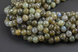 Natural Labradorite Faceted Round-Full Strand 15.5 inch Strand, 4mm, 6mm, 8mm, 12mm, or 14mm Beads- Gemstone Beads