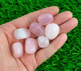 1 pc Natural Rose Quartz Medium Tumbled Stone- .5 inch-1.25 inch