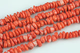 Natural Orange Bamboo Coral Free form Roundel Beads. Medium Size- 10-12m-15.5 inch strand Gemstone Beads