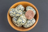 Natural Dalmatian Jasper Tumbled Nuggets- 100 grams-3.5 ounces - .5 inch-1.5 inch Size- Roughly 8 pcs per bag