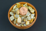Natural Fossil Coral Tumbled Nuggets- 100 grams-3.5 ounces - 1/4 inch-3/4 inch Size- Roughly 100 pcs per bag