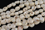Natural White Cream Coral Natural Oval Shaped Beads. Medium Size- 12x16mm-15.5 inch strand Gemstone Beads
