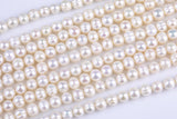 7-8mm Freshwater Pearl-Round Freshwater Pearl