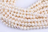 7-8mm Freshwater Pearl-Round Freshwater Pearl