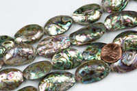 Natural Abalone Beads Puffy Oval Freeform Free Form Shape Beads. A Quality 15.5 inch strand