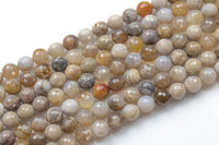 Natural Ocean Fossil Agate- Facted Round sizes. 4mm, 6mm, 8mm, 10mm, 12mm, 14mm Gemstone Beads