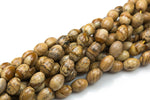 Natural Picture Jasper- Barrel Shape-3 Sizes- Special Shape- Full Strand- 16 Inches Gemstone Beads