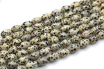 Natural Dalmation Jasper- Barrel Shape-3 Sizes- Special Shape- Full Strand- 16 Inches Gemstone Beads