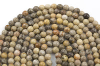 Natural fossil coral, High Quality in Faceted round, 4mm, 6mm, 8mm, 10mm, 12mm, 14mm- Full 15.5 Inch Strand Gemstone Beads