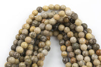 Natural fossil coral, High Quality in Faceted round, 4mm, 6mm, 8mm, 10mm, 12mm, 14mm- Full 15.5 Inch Strand Gemstone Beads