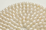 Dzi Beads Faceted Round Beads. A Quality Full Strand 6mm, 8mm, 10mm, 12mm