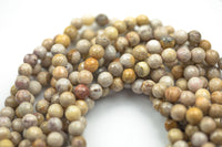 Natural Light fossil coral, High Quality in Faceted round, 6-10mm Gemstone Beads