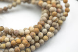 Natural Medium fossil coral, High Quality in Matt round, 6mm, 8mm, 10mm Gemstone Beads