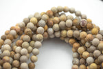 Natural Medium fossil coral, High Quality in Matt round, 6mm, 8mm, 10mm Gemstone Beads