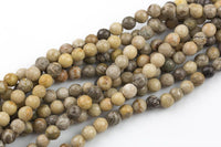Natural fossil coral, High Quality in Faceted round, 4mm, 6mm, 8mm, 10mm, 12mm, 14mm- Full 15.5 Inch Strand Gemstone Beads
