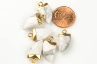 Howlite Pendant with Electroplated Gold Cap- Horn, Teeth, Tooth