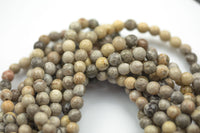 Natural fossil coral, High Quality in Faceted round, 4mm, 6mm, 8mm, 10mm, 12mm, 14mm- Full 15.5 Inch Strand Gemstone Beads