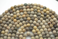 Natural fossil coral, High Quality in Faceted round, 4mm, 6mm, 8mm, 10mm, 12mm, 14mm- Full 15.5 Inch Strand Gemstone Beads