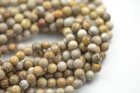 Natural Light fossil coral, High Quality in Faceted round, 6-10mm Gemstone Beads