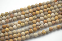 Natural Medium fossil coral, High Quality in Matt round, 6mm, 8mm, 10mm Gemstone Beads