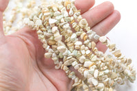 2 Strands White Turquoise Chips Beads - Around 6mm in dimensions - 2 strands of 16" - Wholesale pricing