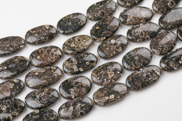 Natural Freeform Fossil Coral Beads - Approximately 20mm by 32mm - About 12 beads - Full Strand 15.5" Gemstone Beads