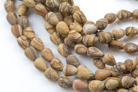 Natural Picture Jasper- Matte Teardrop- Beads- 2 Sizes- Special Shape- Full Strand- 16 Inches Gemstone Beads