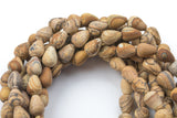Natural Picture Jasper- Matte Teardrop- Beads- 2 Sizes- Special Shape- Full Strand- 16 Inches Gemstone Beads