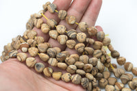 Natural Picture Jasper Beads Matte Beads - Heart Shaped 10mm - 1 strand ~15.5" - Special Exclusive Item Gemstone Beads