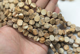 Natural Picture Jasper Beads Matte Beads - Coin Shaped 10mm - 1 strand ~15.5" - Special Exclusive Item Gemstone Beads