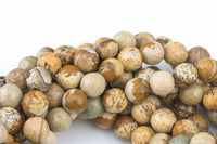 Natural Special Light Picture Jasper Faceted Round 4mm, 6mm, 8mm, 10mm, 12mm, 14mm Gemstone Beads