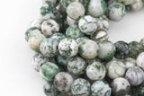 Natural Tree Agate, High Quality in Faceted Round-4mm, 6mm, 10mm, 12mm-Full Strand 15.5 inch Strand Gemstone Beads