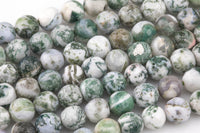 Natural Tree Agate, High Quality in Faceted Round-4mm, 6mm, 10mm, 12mm-Full Strand 15.5 inch Strand Gemstone Beads