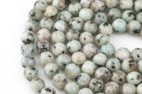 Natural Sky Mountain Blue Kiwi Jasper, High Quality in Faceted Round- 4mm, 6mm, 8mm, 10mm, 12mm, 14mm- Full Strand 16 inches Gemstone Beads