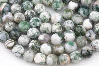 Natural Tree Agate, High Quality in Faceted Round-4mm, 6mm, 10mm, 12mm-Full Strand 15.5 inch Strand Gemstone Beads