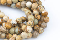 Natural Special Light Picture Jasper Faceted Round 4mm, 6mm, 8mm, 10mm, 12mm, 14mm Gemstone Beads