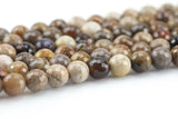 Natural Brown Petrified Wood Beads AAA Grade Faceted Round- 6mm, 8mm, 10mm, 12mm- Full 15.5 Inch Strand AAA Quality Gemstone Beads