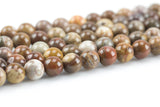 Natural Brown Petrified Wood Round High Quality 6mm 8mm 10mm 12mm Full Strand AA Quality AAA Quality Smooth Gemstone Beads