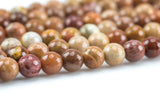 Natural Tan Petrified Wood, High Quality in Faceted Round- 6mm, 8mm, 10mm, 12mm- Full 15.5 Inch Strand AAA Quality Gemstone Beads