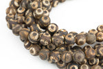 Dzi Beads Dark Brown Eye Matt Round Beads. A Quality Full Strand