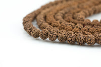 Natural Rudraksha Beads- 7mm 8mm, 9mm, 10mm- Wholesale Bulk or Single Strands!- Full 15.5 Inch Strand Gemstone Beads