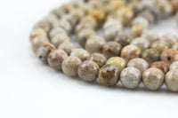 Natural Light fossil coral, High Quality in Faceted round, 6-10mm Gemstone Beads