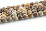 Natural Brown Petrified Wood Beads Lighter, Faceted Round High Quality - 6mm, 8mm, 10mm, 12mm- Full 15.5 Inch Strand AAA Quality