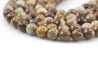 Natural Brown Petrified Wood Beads Lighter, Faceted Round High Quality - 6mm, 8mm, 10mm, 12mm- Full 15.5 Inch Strand AAA Quality