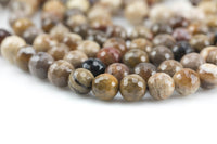 Natural Brown Petrified Wood Beads AAA Grade Faceted Round- 6mm, 8mm, 10mm, 12mm- Full 15.5 Inch Strand AAA Quality Gemstone Beads