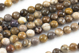 Natural Brown Petrified Wood Beads AAA Grade Faceted Round- 6mm, 8mm, 10mm, 12mm- Full 15.5 Inch Strand AAA Quality Gemstone Beads